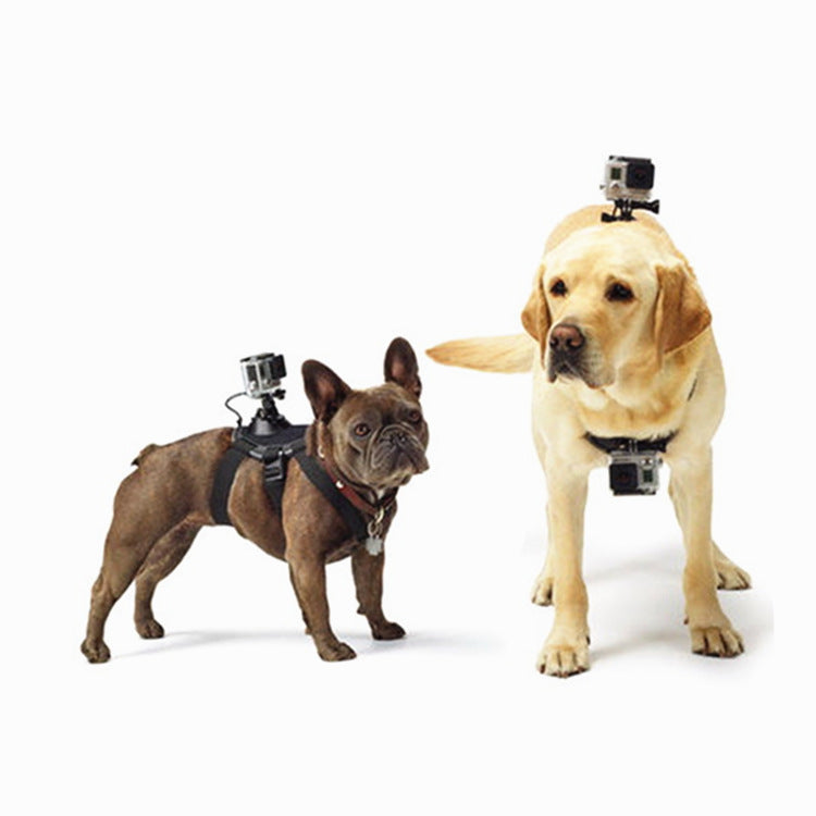 GoPro Dog Harness for Hero 8 7 5 6 & DJI Accessories